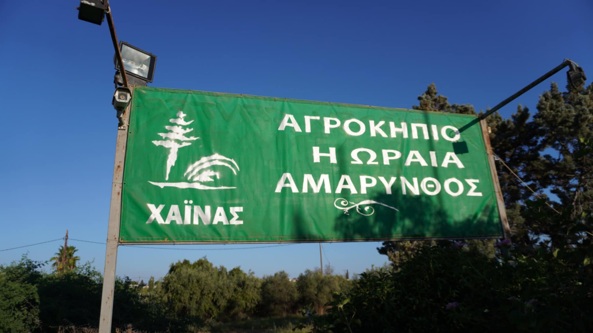 ΦΥΤΩΡΙΟ Π. ΧΑΪΝΑ “Η ΩΡΑΙΑ ΑΜΑΡΥΝΘΟΣ”