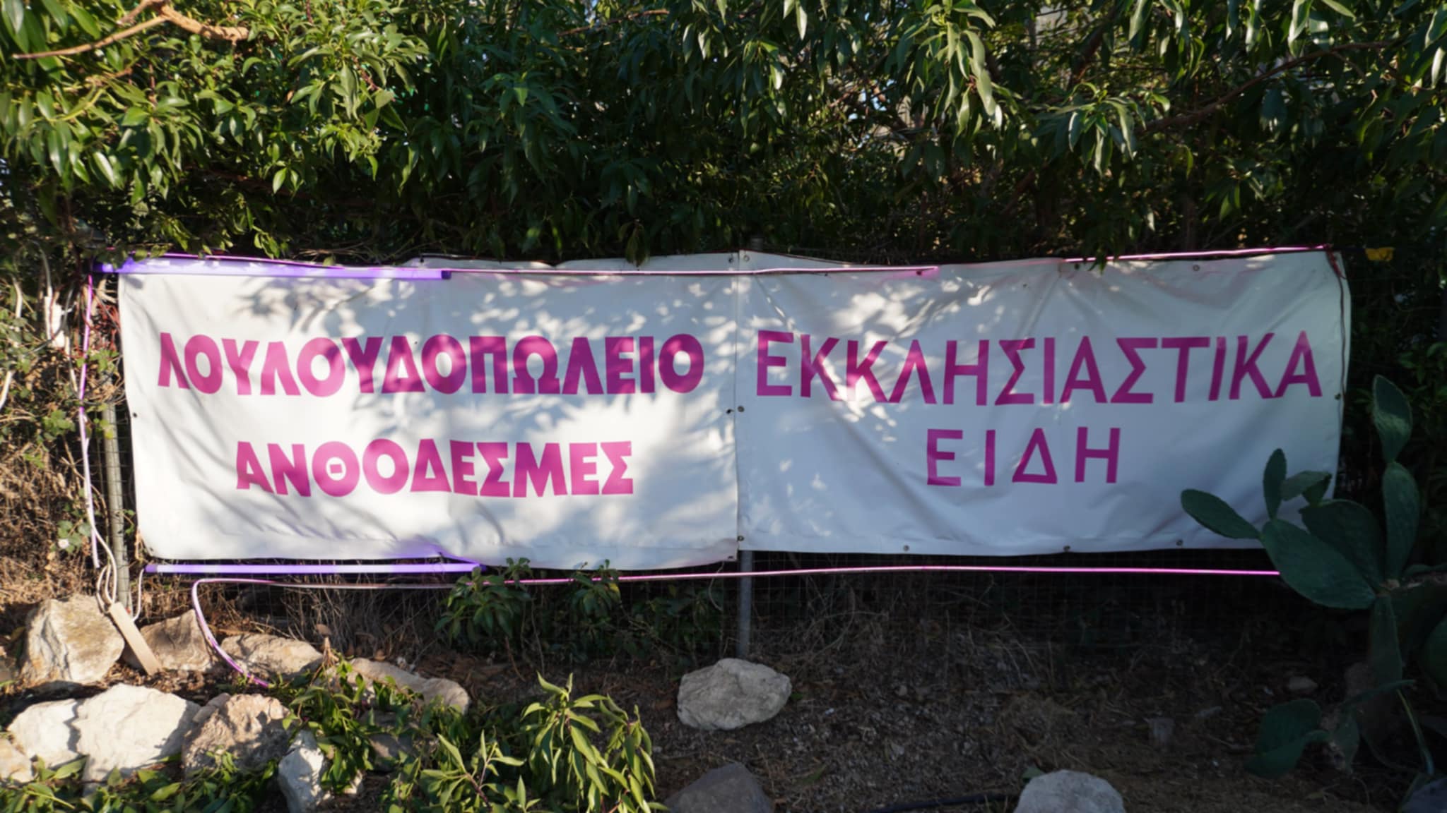 ΦΥΤΩΡΙΟ Π. ΧΑΪΝΑ “Η ΩΡΑΙΑ ΑΜΑΡΥΝΘΟΣ”