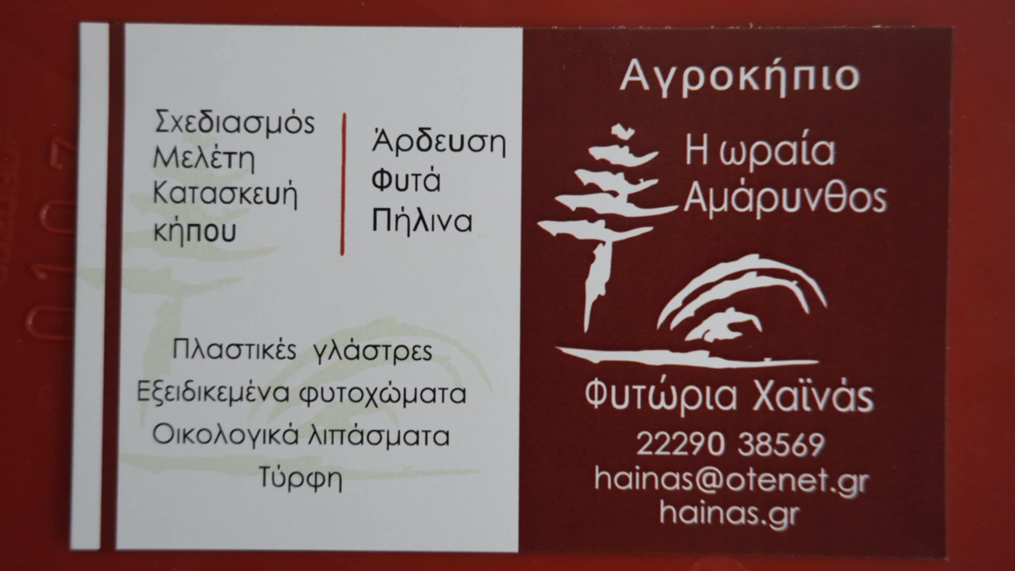 ΦΥΤΩΡΙΟ Π. ΧΑΪΝΑ “Η ΩΡΑΙΑ ΑΜΑΡΥΝΘΟΣ”