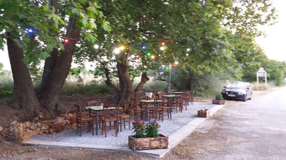 Η ΆΜΠΕΛΟΣ