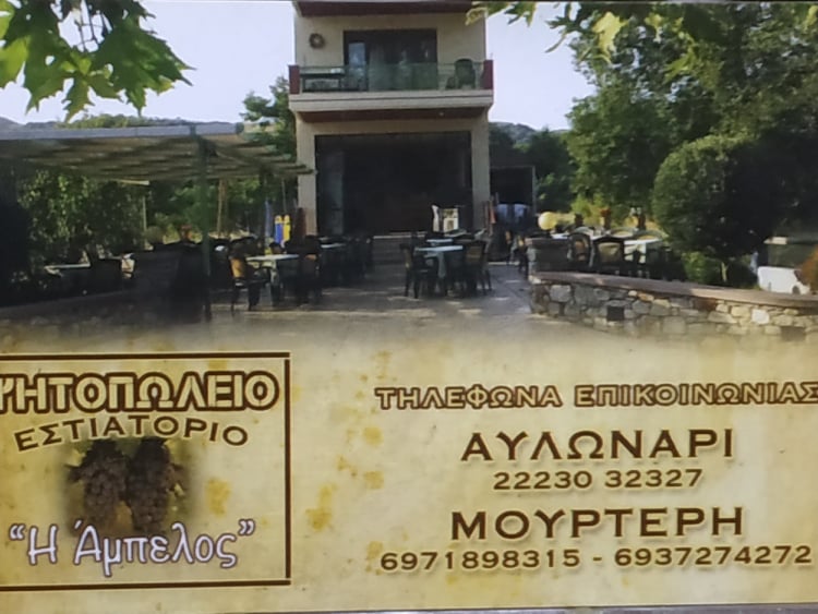 Η ΆΜΠΕΛΟΣ