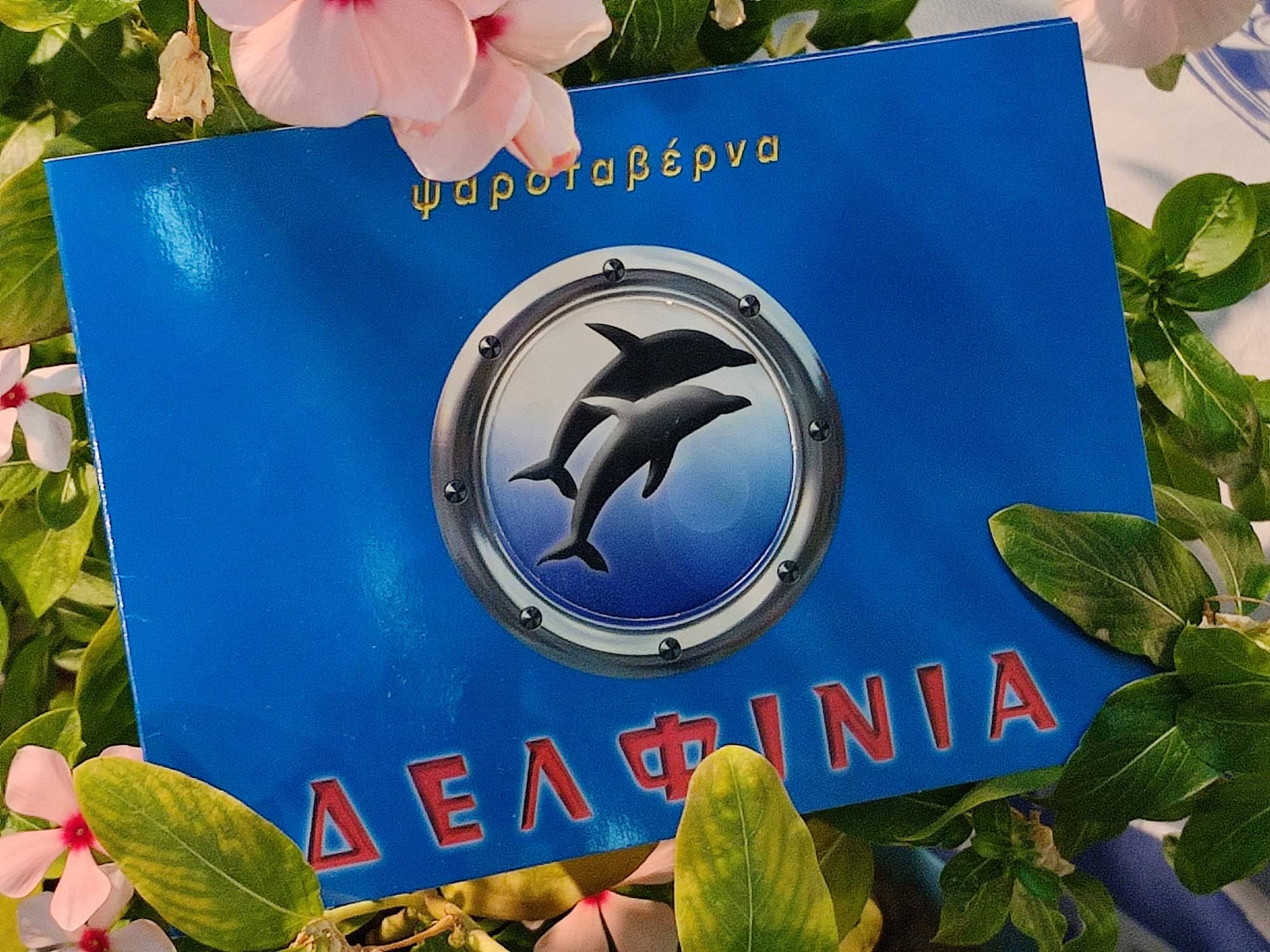 ΤΑ ΔΕΛΦΙΝΙΑ