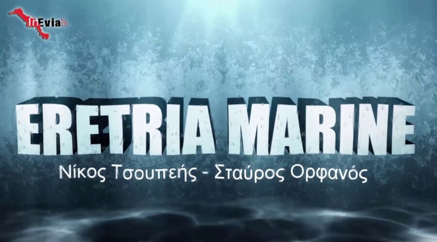 Eretria-Marine.eu | 22290 61200 | Parking Σκαφών | Χαλκίδα | Εύβοια | Αγορές | Πωλήσεις | Service