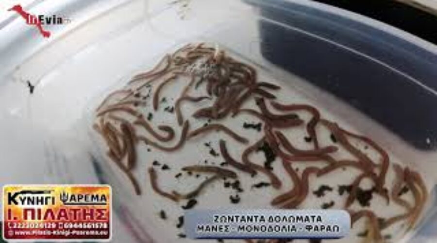 Ι. ΠΙΛΑΤΗΣ | ΑΛΙΒΕΡΙ ΕΥΒΟΙΑΣ | ΟΛΑ ΤΑ ΕΙΔΗ ΑΛΙΕΙΑΣ ΚΑΙ ΚΥΝΗΓΙΟΥ ΜΟΝΟ ΕΔΩ!