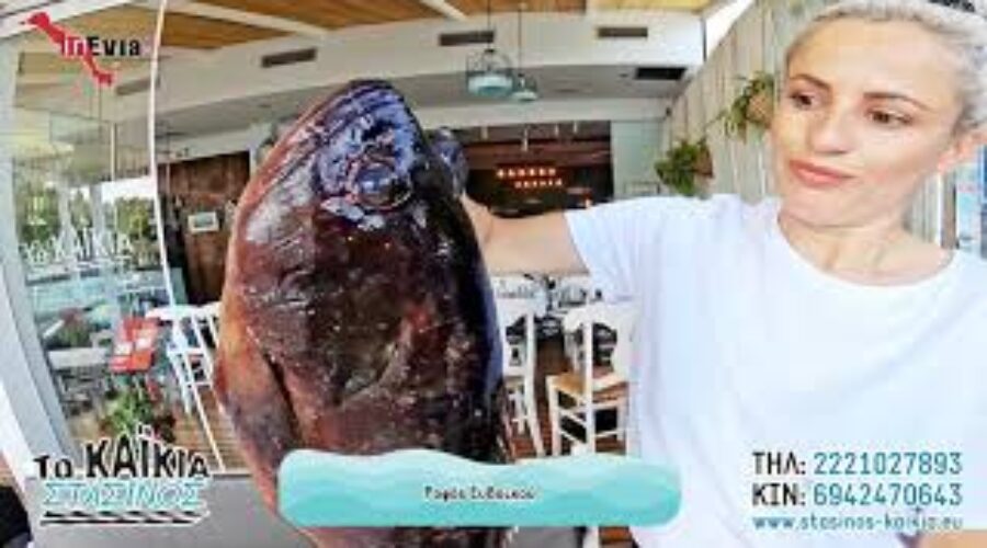 ΤΑ ΚΑΙΚΙΑ ΣΤΑΣΙΝΟΣ ΓΚΟΥΝΗΣ | ΧΑΛΚΙΔΑ | ΟΙ ΚΑΛΥΤΕΡΟΙ ΘΑΛΑΣΣΙΝΟΙ ΜΕΖΕΔΕΣ ΘΑ ΤΟΥΣ ΒΡΕΙΤΕ ΜΟΝΟ ΕΔΩ!