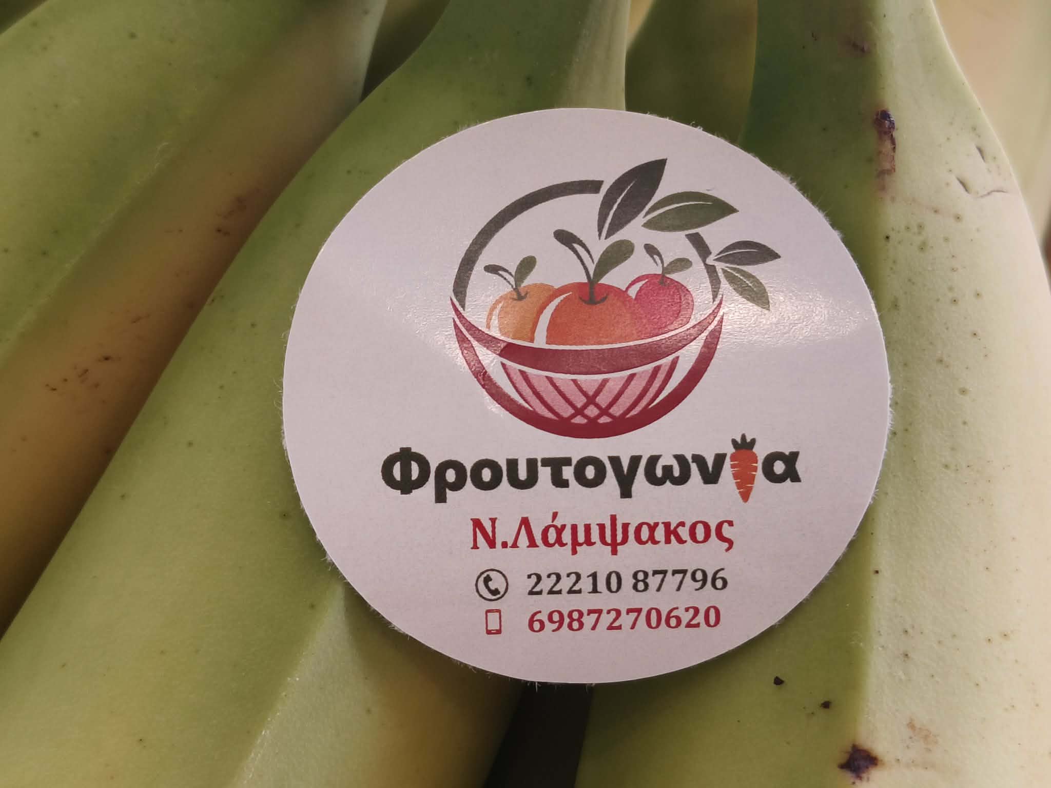 ΦΡΟΥΤΟΓΩΝΙΑ