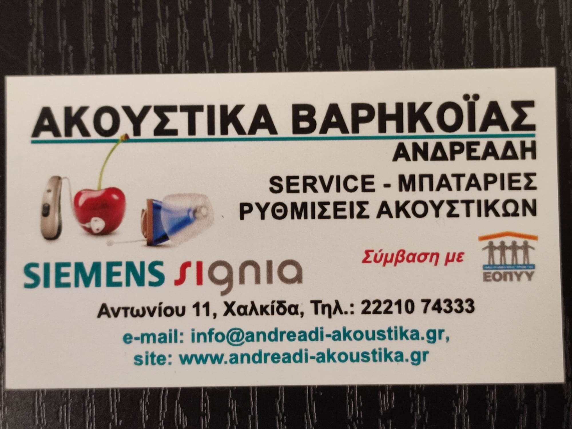 ΑΚΟΥΣΤΙΚΑ ΒΑΡΗΚΟΪΑΣ ΑΝΔΡΕΑΔΗ