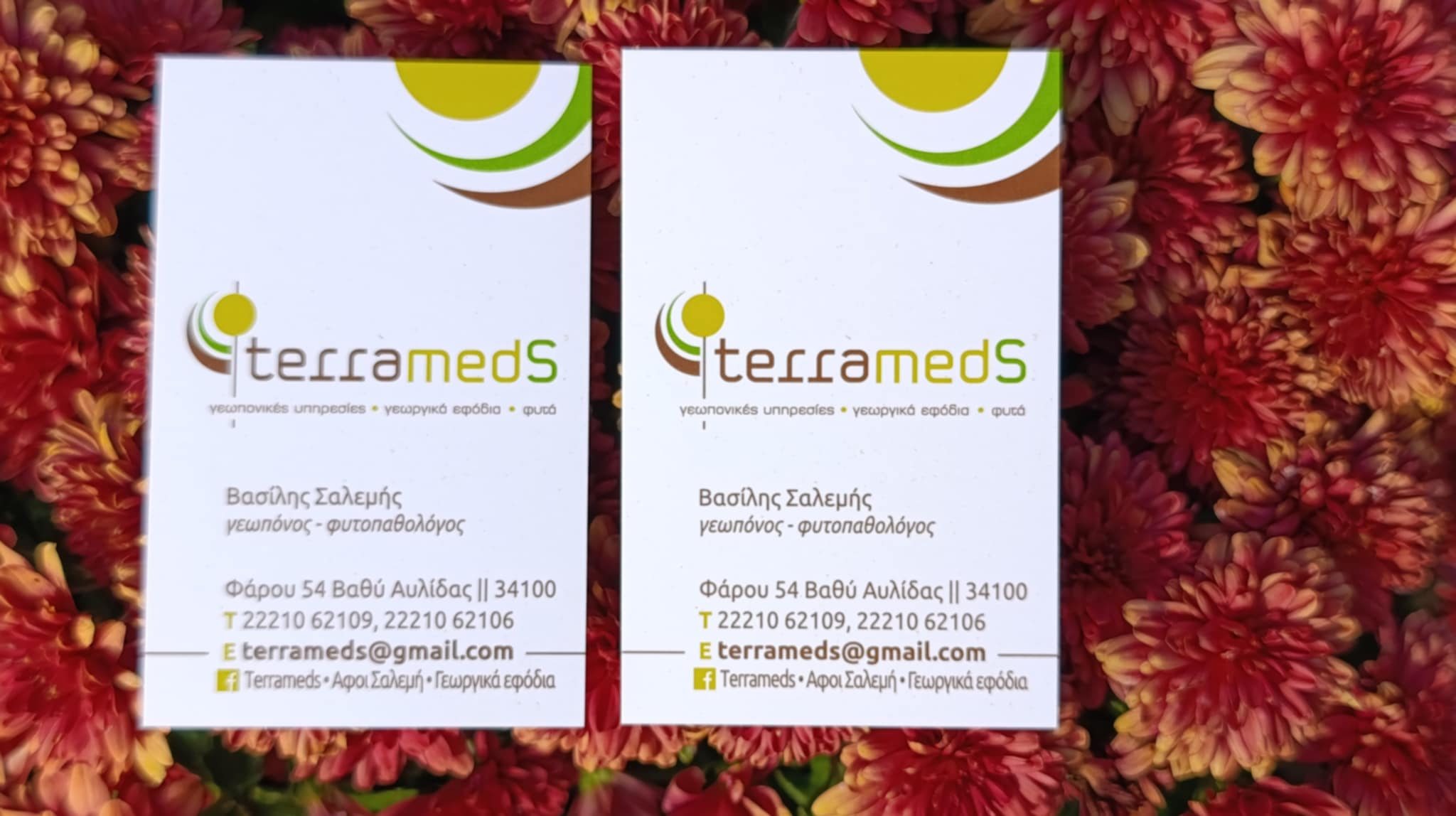 TERRAMEDS