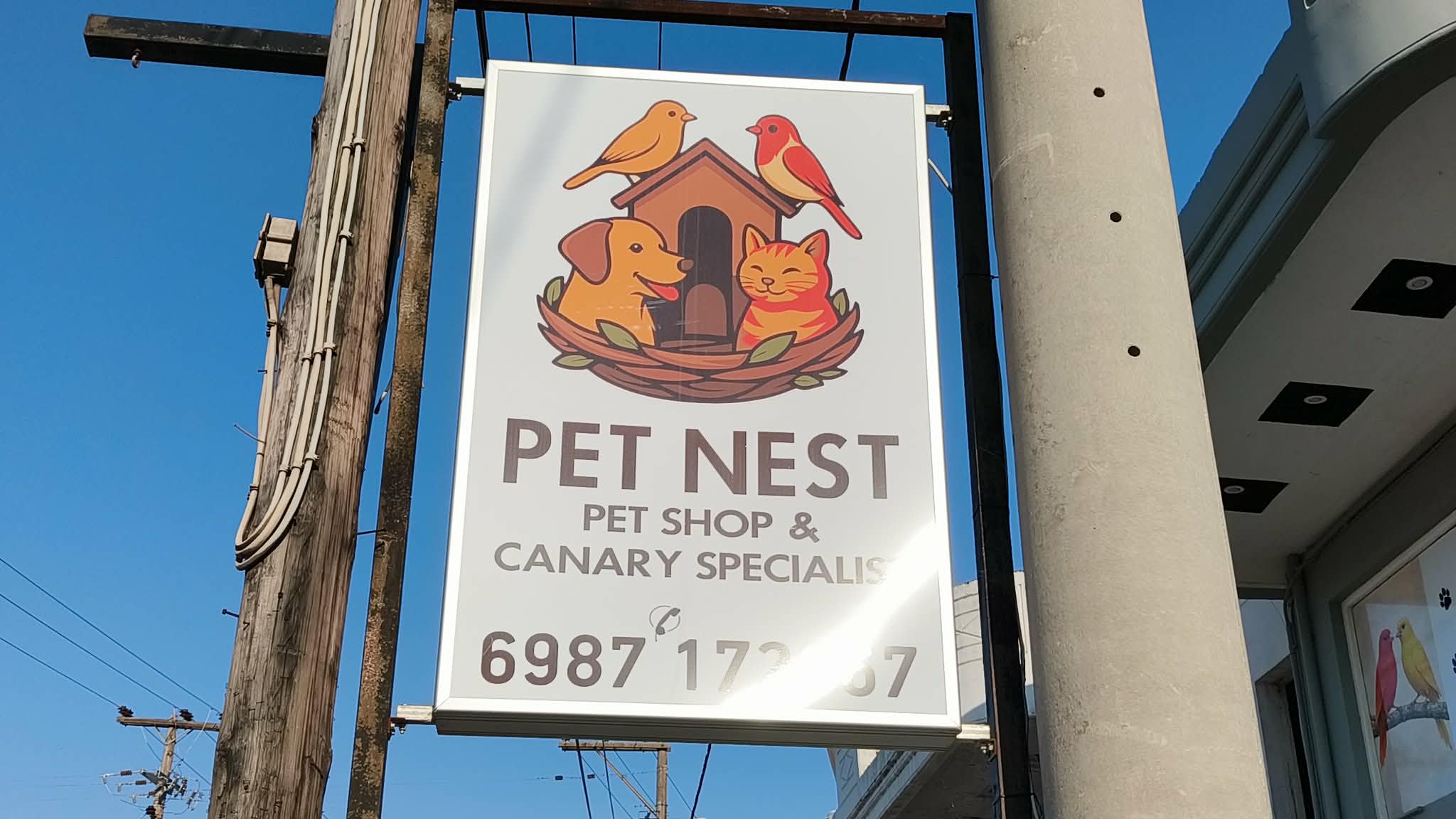 PET NEST