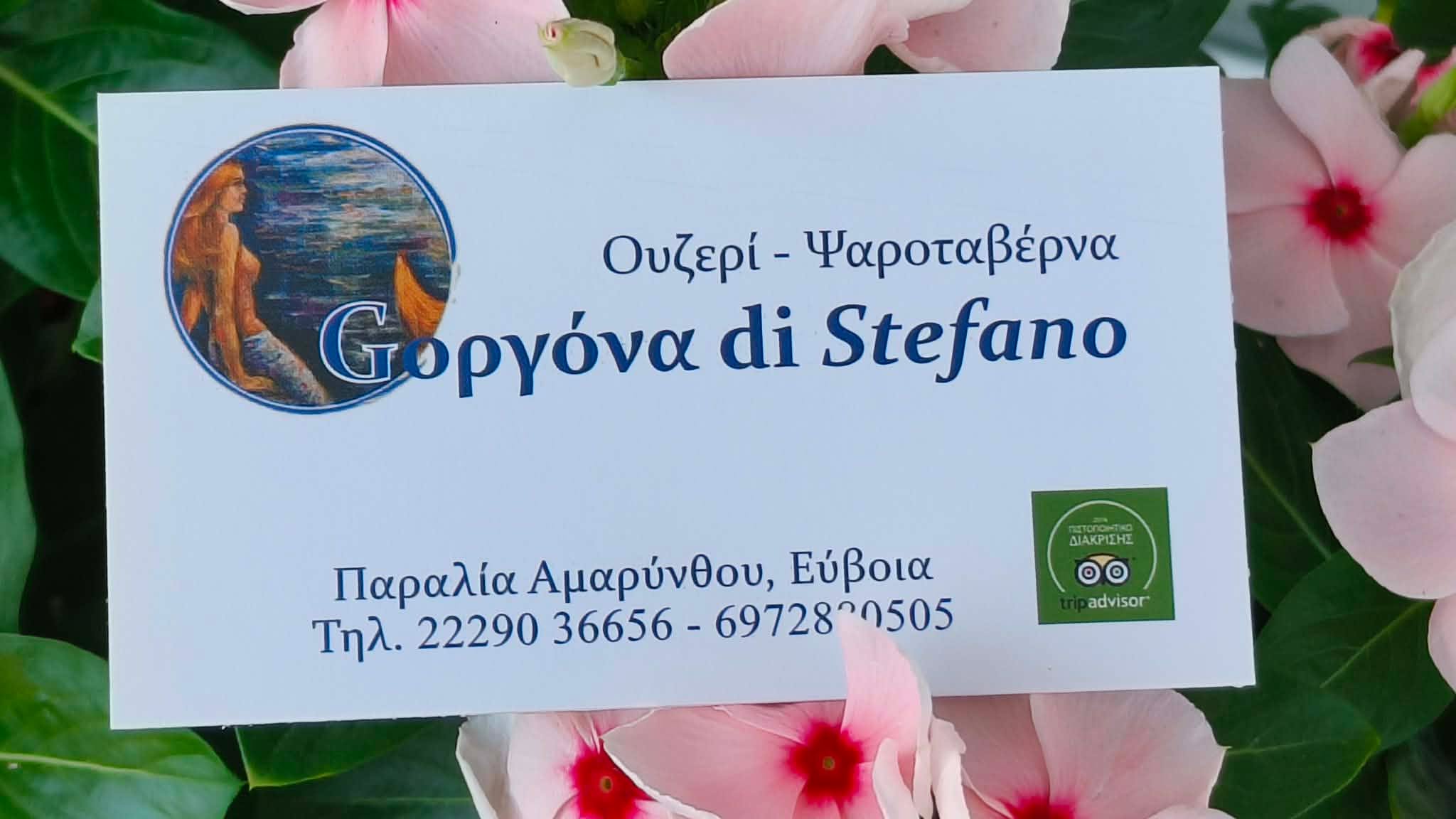 GΟΡΓΟΝΑ DI STEFANO